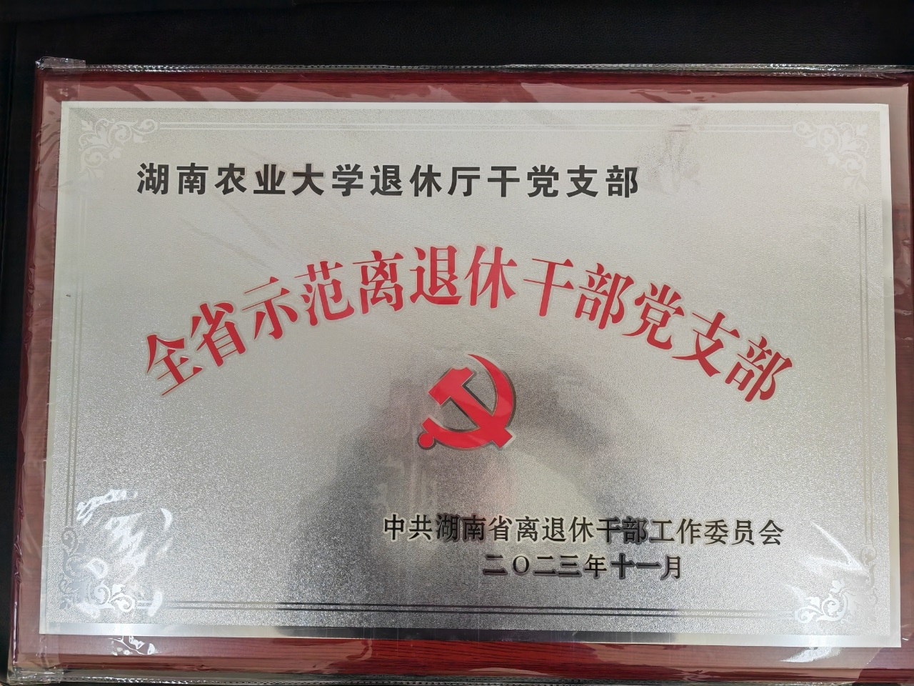 yl6809永利