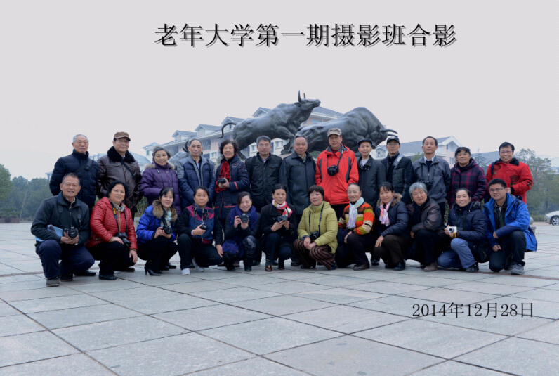 yl6809永利
