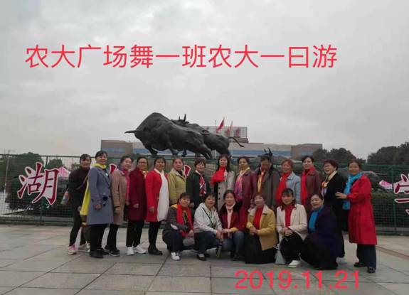 yl6809永利