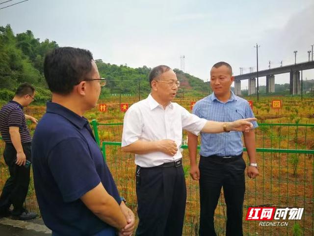 yl6809永利